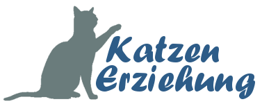 Katzen-Erziehung